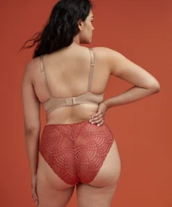 ThirdLove Deco Lace High Brief