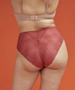 ThirdLove Deco Lace High Brief