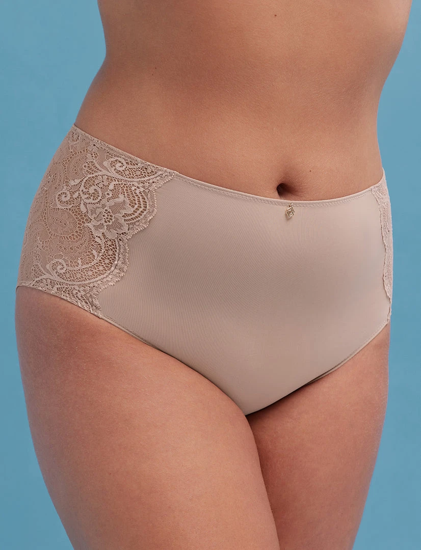 ThirdLove Lace High Brief Underwear 2 ThirdLove Lace High Brief Underwear