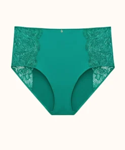 ThirdLove Lace High Brief