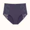 ThirdLove Lace High Brief