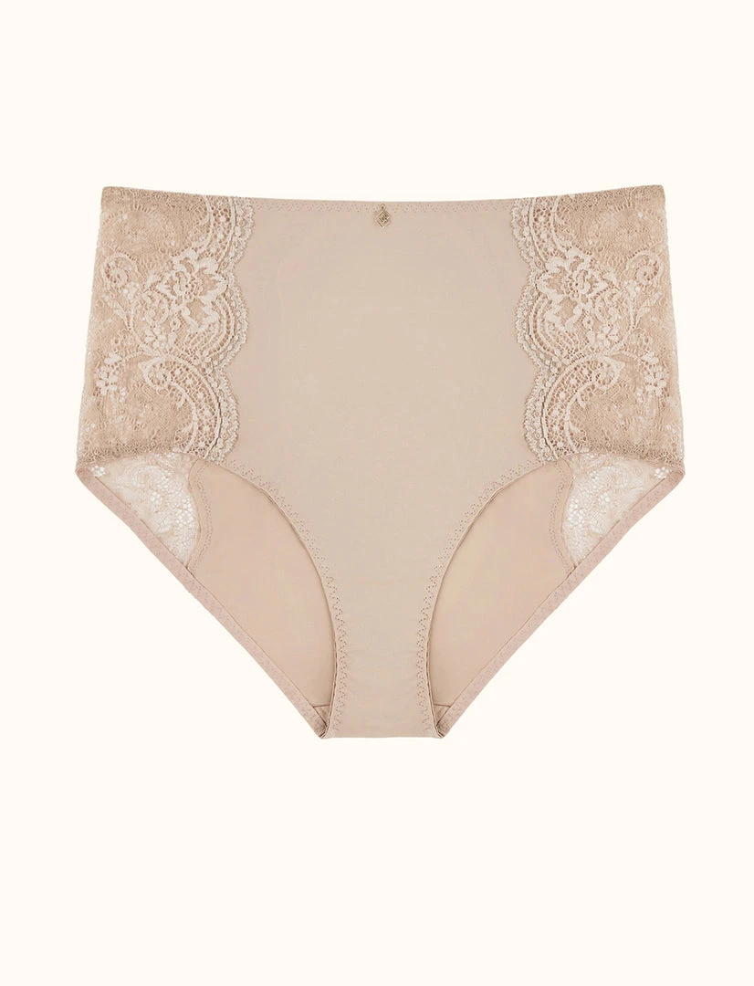 ThirdLove Lace High Brief Underwear 1 ThirdLove Lace High Brief Underwear