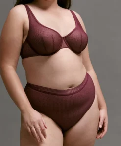 ThirdLove Lace Modern Mesh High Brief